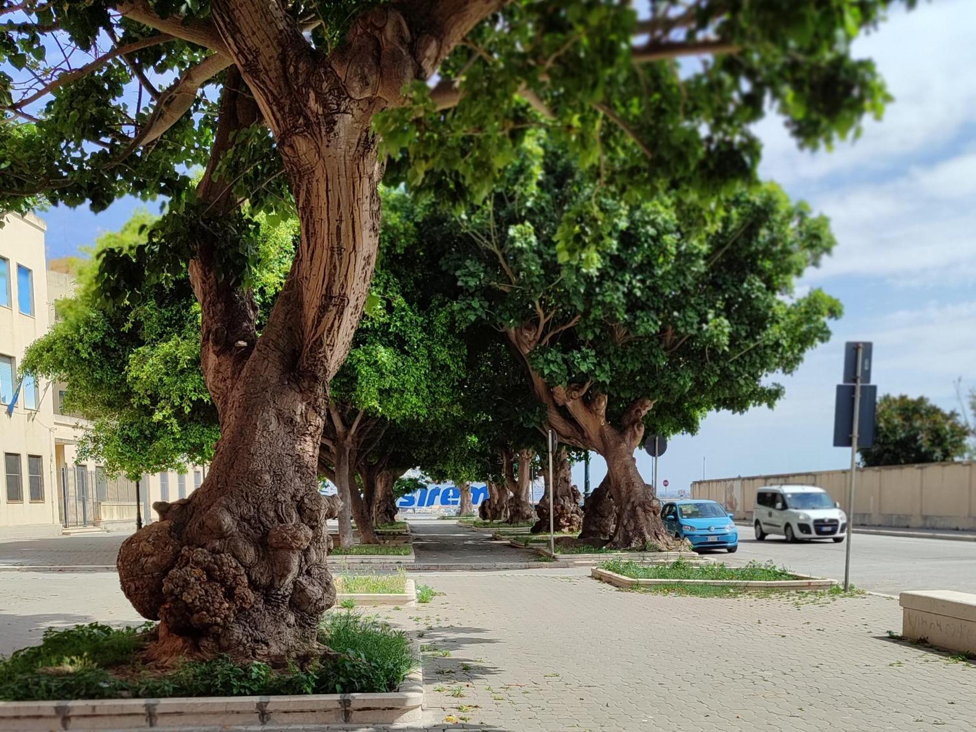 Alla Marina Da Pina Trapani Ngoại thất bức ảnh